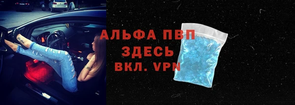 твердый Арсеньев