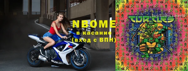 твердый Арсеньев
