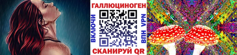 Галлюциногенные грибы Cubensis  Купить где  Правдинск 